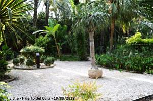 19 ELCHE HUERTO DEL CURA (133)
